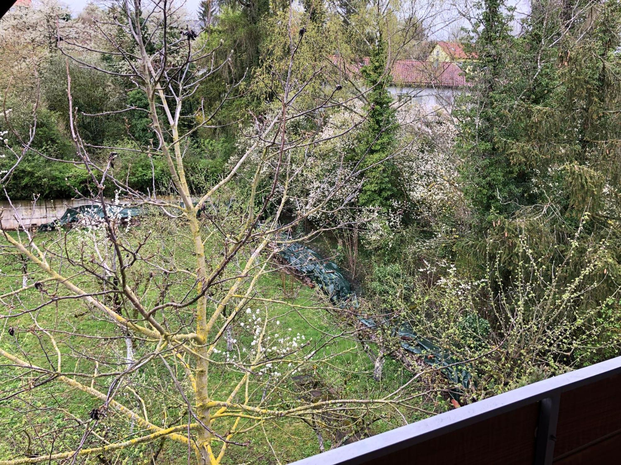 Mainstockheim Blaues Zimmer Mit Grossem Balkon, Bad Ist Ein Traum, 50 Schritte Zum Radweg Am Main,Ideal For Short Stay מראה חיצוני תמונה